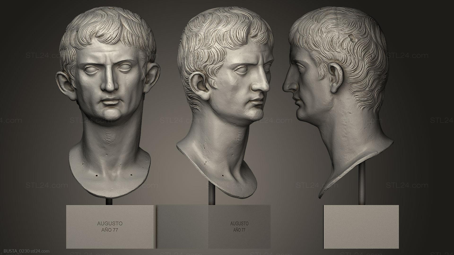 Бюсты и головы античные и исторические (Цезарь Аугусто, BUSTA_0230) 3D модель для ЧПУ станка